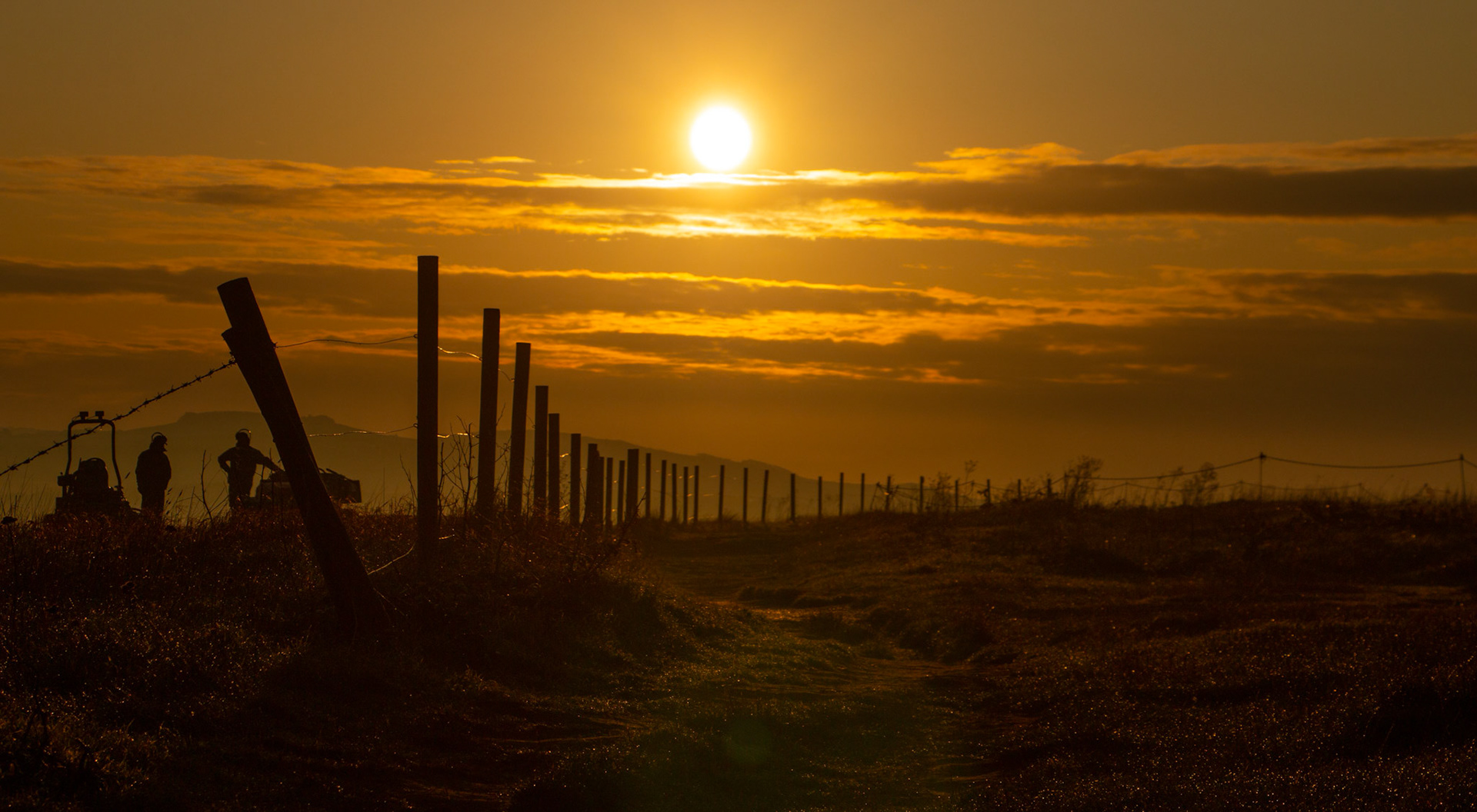 7a67a0f0-2a1a-4225-96aa-a61611bbe2c0_rw_1920